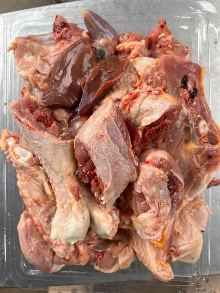 Gà lai chọi Lạc Sơn 2kg-duoc-ban-tai-VŨ HỒNG TUYẾT