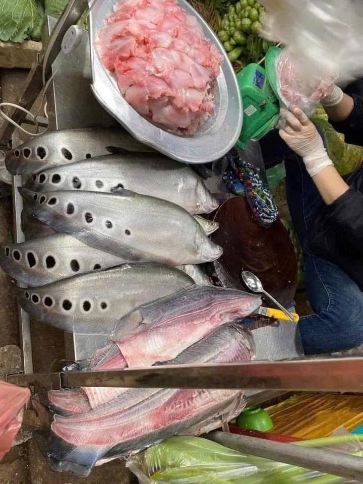 Chả cá thác lác-duoc-ban-tai-VŨ HỒNG TUYẾT
