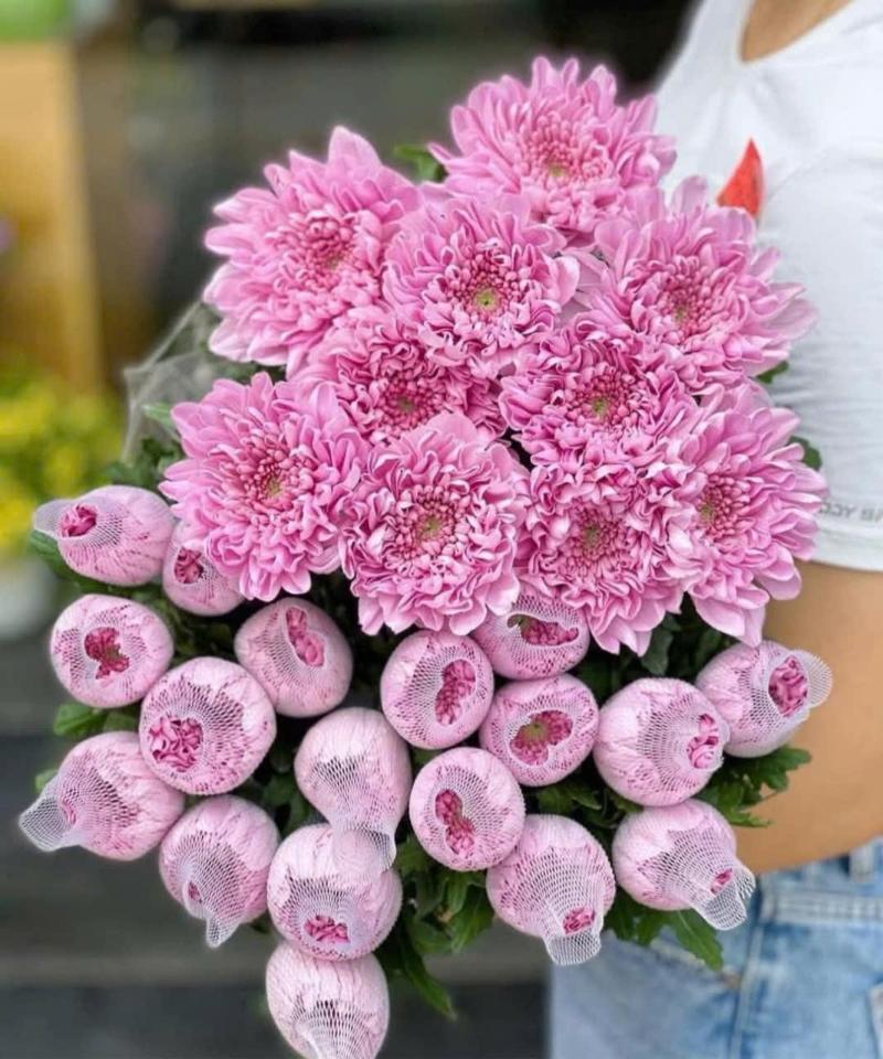 Cúc Hồng hasfarm-duoc-ban-tai-Tiệm hoa nhà tình