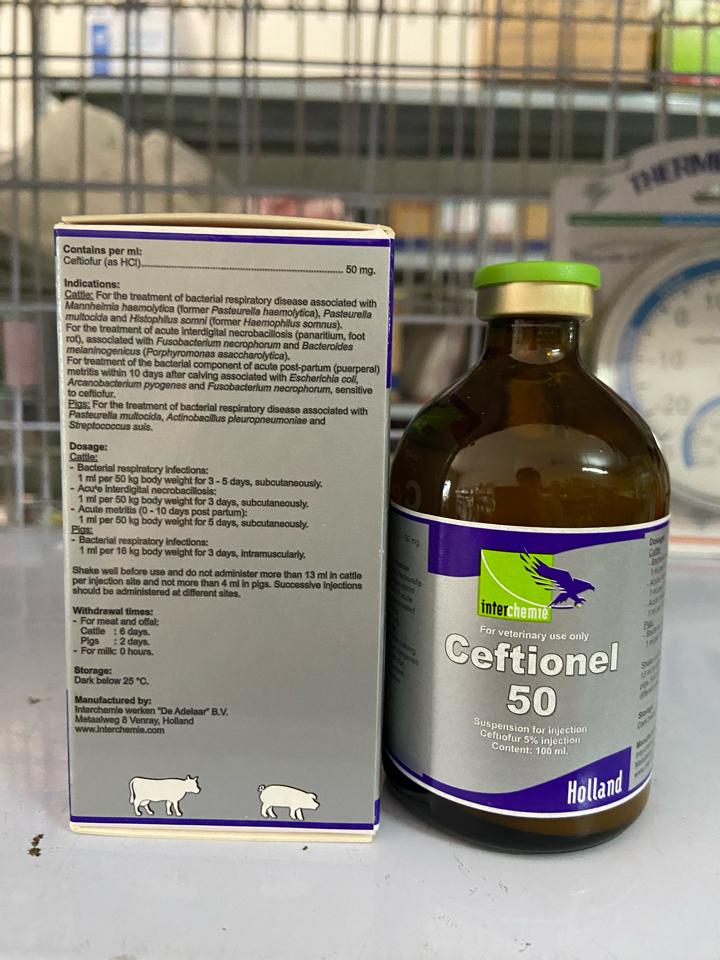 Ceftionel 100ml-duoc-ban-tai-Thuốc Thú Y Vân Lan