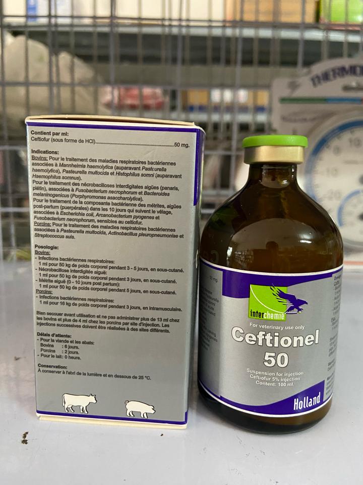 Ceftionel 100ml-duoc-ban-tai-Thuốc Thú Y Vân Lan
