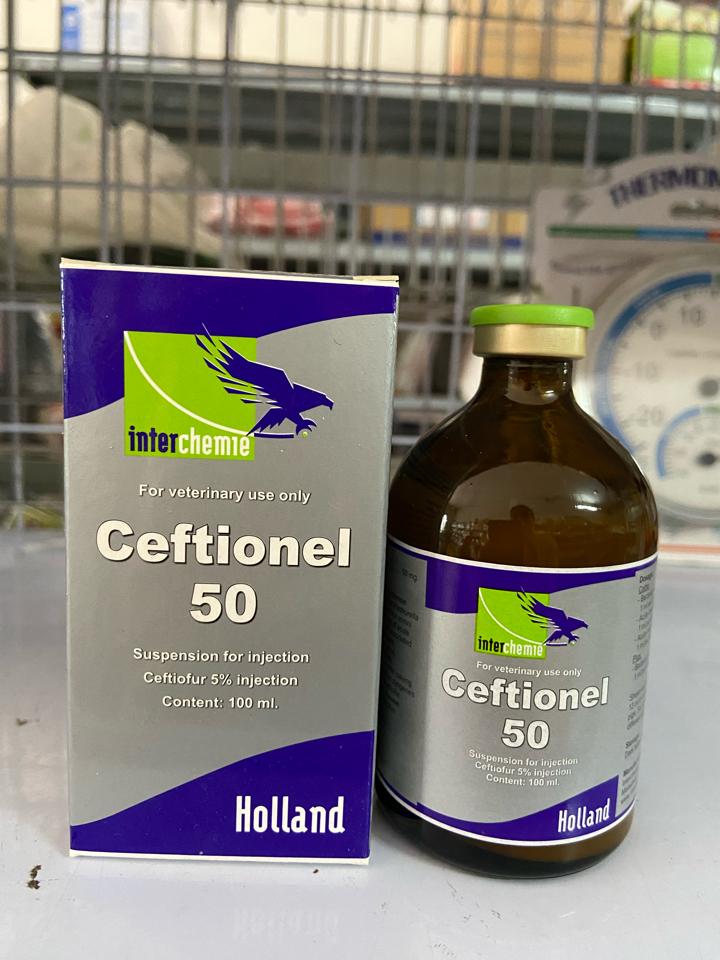 Ceftionel 100ml-duoc-ban-tai-Thuốc Thú Y Vân Lan
