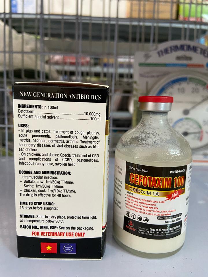 Cefotaxim 100ml - Asiavet-duoc-ban-tai-Thuốc Thú Y Vân Lan