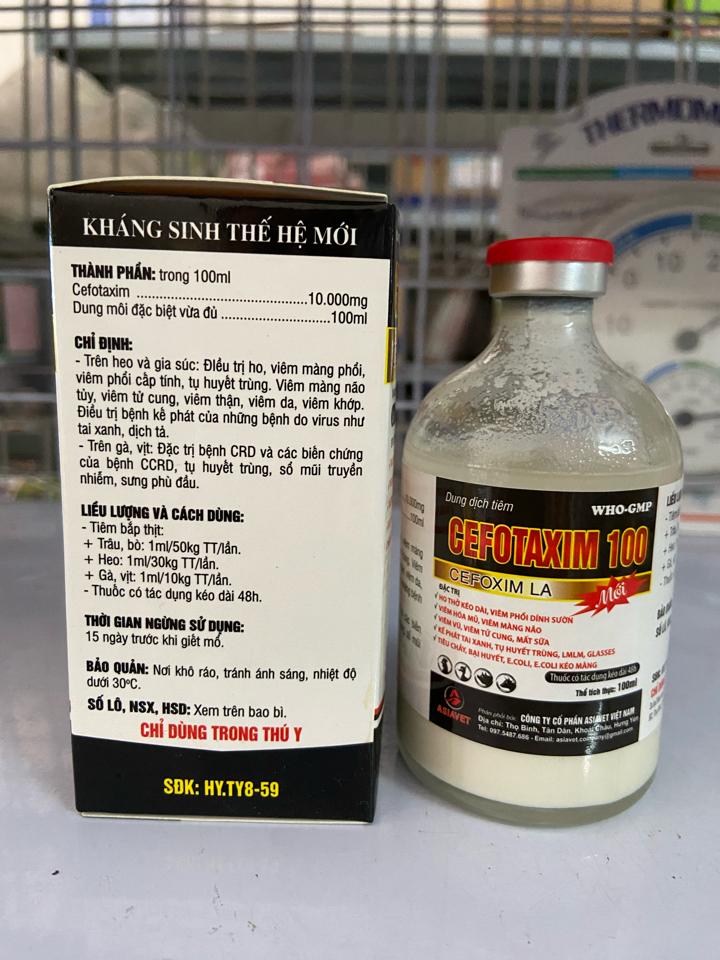 Cefotaxim 100ml - Asiavet-duoc-ban-tai-Thuốc Thú Y Vân Lan