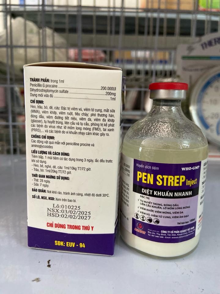 Pen strep 100ml - Asiavet-duoc-ban-tai-Thuốc Thú Y Vân Lan