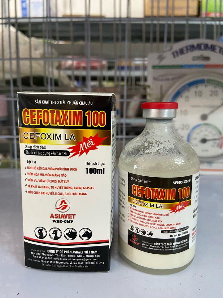 Cefotaxim 100ml - Asiavet-duoc-ban-tai-Thuốc Thú Y Vân Lan