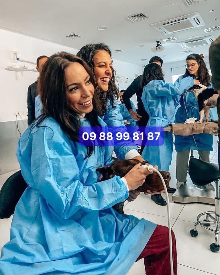 THUỐC TRỊ HEN SUYỄN ,Thuốc trị ho cho chó mèo – Long đờm, thông mũi,dễ thở, hỗ trợ đường hô hấp”-duoc-ban-tai-Bệnh Viện Thú Cưng Việt - Mỹ Hà Nội