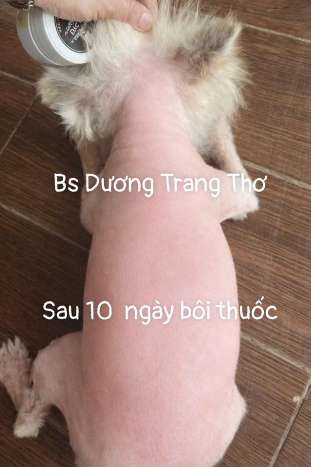Kem Hỗ Trợ Xoá Thâm Da Chó Mèo – Giảm Tăng Sắc Tố, Nấm Da, Viêm Da ,Kích Mọc Lông Nhanh-duoc-ban-tai-Bệnh Viện Thú Cưng Việt - Mỹ Hà Nội