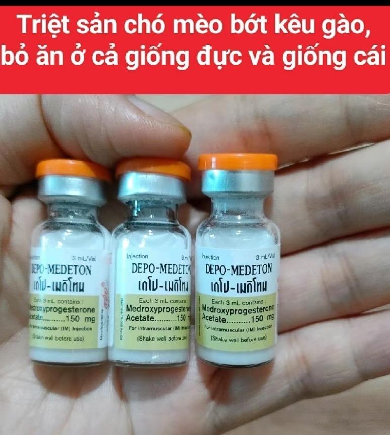 Triệt Sản Chó Mèo-duoc-ban-tai-Bệnh Viện Thú Cưng Việt - Mỹ Hà Nội