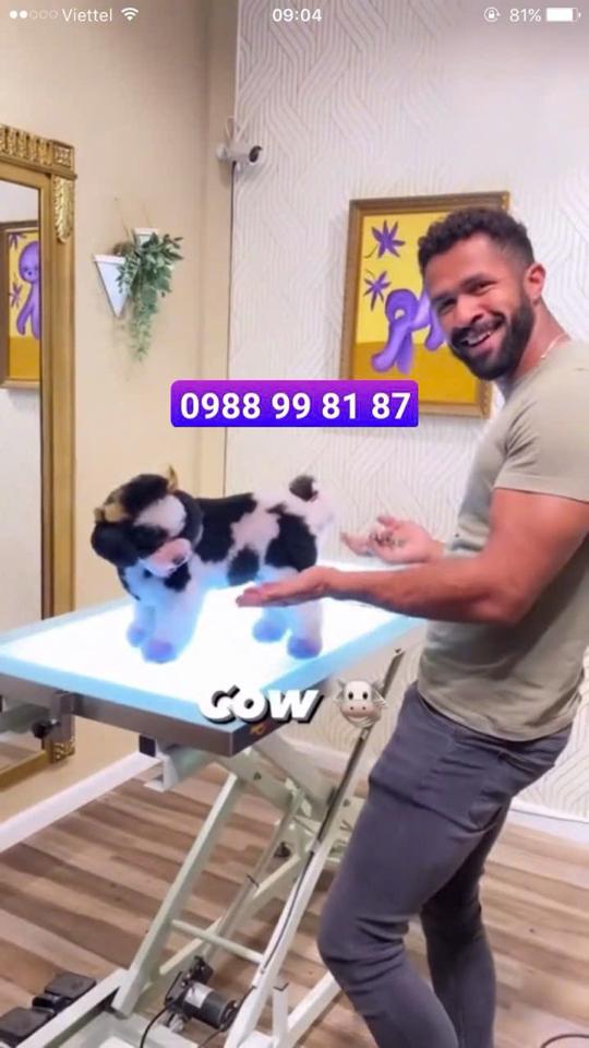HOTEL Theo ngày ( Chó Dưới 5 kg) Dịch vụ chăm sóc thú cưng uy tín-duoc-ban-tai-Bệnh Viện Thú Cưng Việt - Mỹ Hà Nội