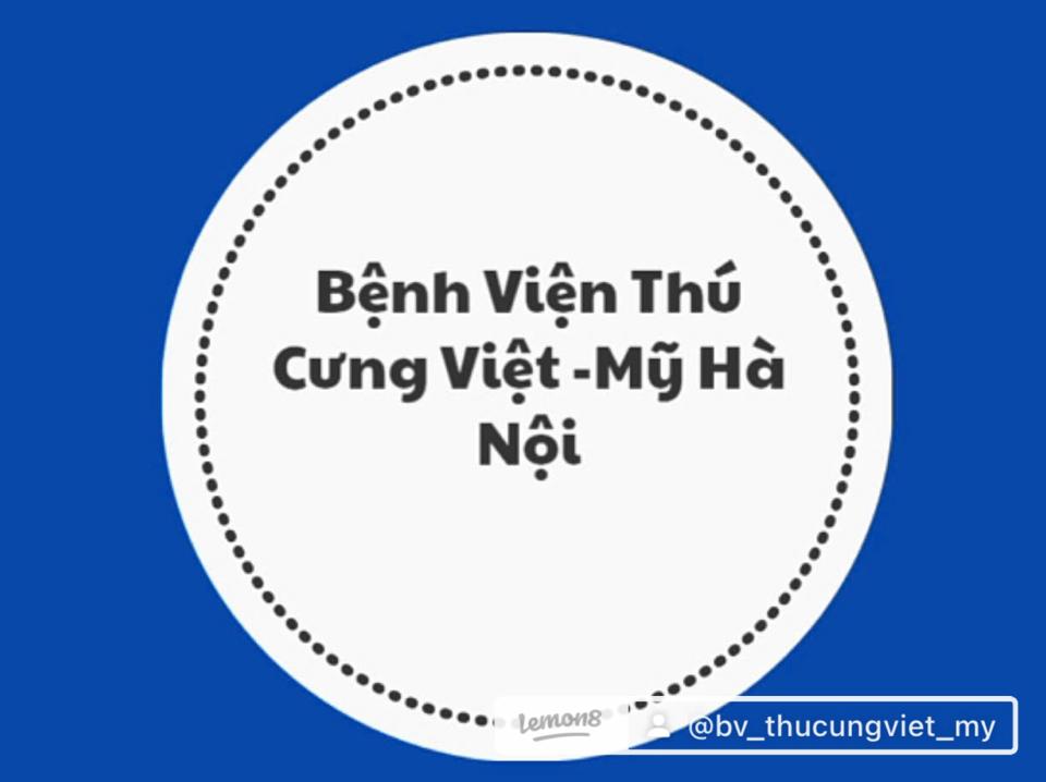 Spa Tắm + Cắt Tỉa ( chó 8-10 kg) Dịch vụ chăm sóc thú cưng uy tín-duoc-ban-tai-Bệnh Viện Thú Cưng Việt - Mỹ Hà Nội