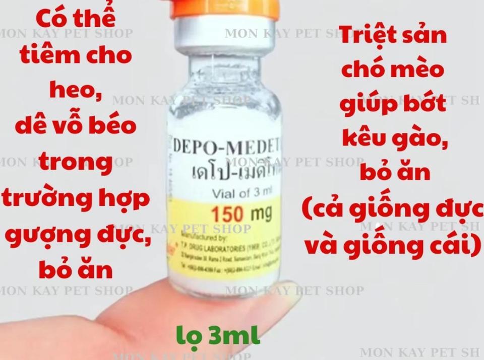 Triệt Sản Chó Mèo-duoc-ban-tai-Bệnh Viện Thú Cưng Việt - Mỹ Hà Nội