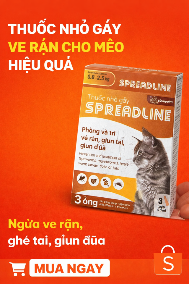 Nhỏ Gáy Mèo-duoc-ban-tai-Bệnh Viện Thú Cưng Việt - Mỹ Hà Nội