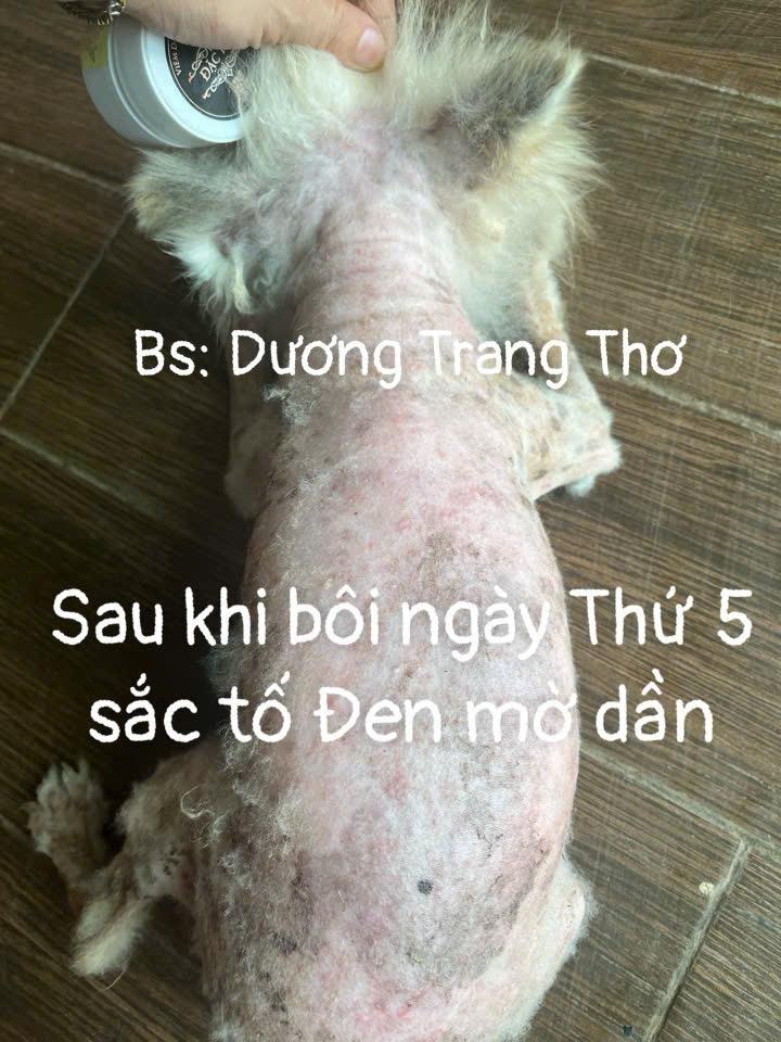 Kem Hỗ Trợ Xoá Thâm Da Chó Mèo – Giảm Tăng Sắc Tố, Nấm Da, Viêm Da ,Kích Mọc Lông Nhanh-duoc-ban-tai-Bệnh Viện Thú Cưng Việt - Mỹ Hà Nội