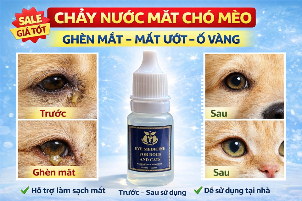 Thuốc Trị Các bệnh về mắt dành cho Chó Mèo Thuốc trị bệnh về mắt cho chó mèo – Hết ghèn, giảm ngứa, sáng mắt-duoc-ban-tai-Bệnh Viện Thú Cưng Việt - Mỹ Hà Nội