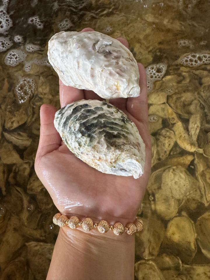 Combo 3kg hàu sữa-duoc-ban-tai-Hải sản phương đan