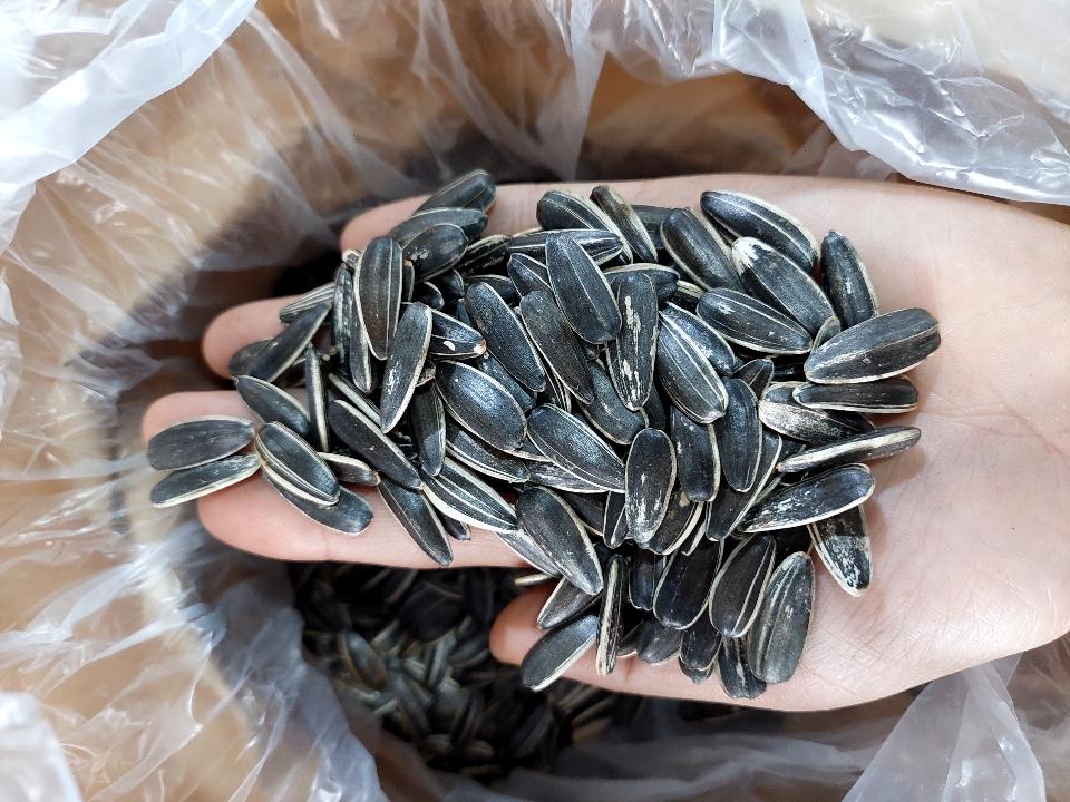 Hướng dương vỏ-duoc-ban-tai-Yummy Nuts-Thế Giới Hạt Ngon!