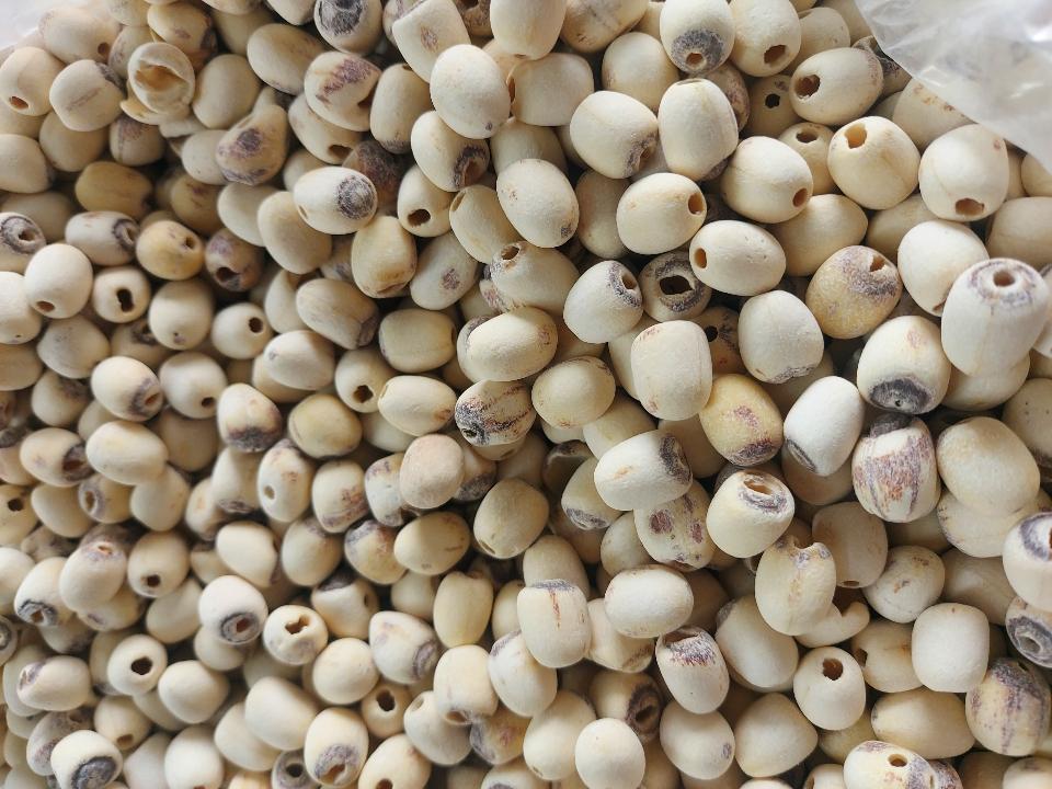 Hạt sen khô-duoc-ban-tai-Yummy Nuts-Thế Giới Hạt Ngon!