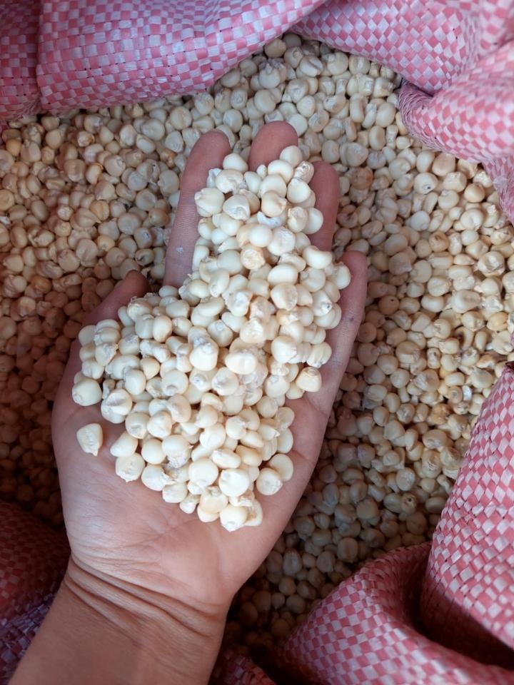 Ngô (bắp) khô-duoc-ban-tai-Yummy Nuts-Thế Giới Hạt Ngon!
