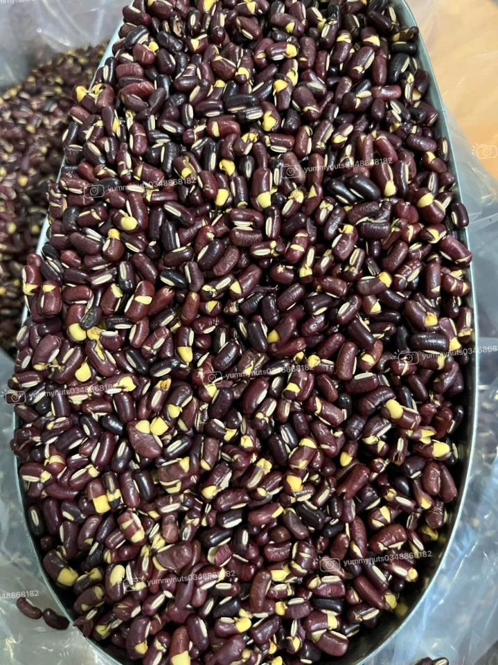 Bột đậu đỏ nảy mầm-duoc-ban-tai-Yummy Nuts-Thế Giới Hạt Ngon!