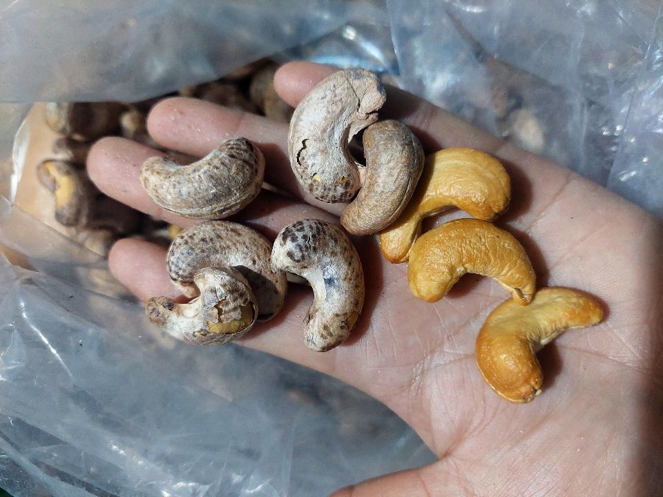 Hạt điều rang muối-duoc-ban-tai-Yummy Nuts-Thế Giới Hạt Ngon!