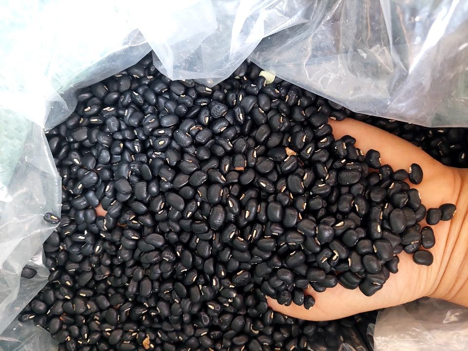 Đậu đen xanh lòng đà lạt-duoc-ban-tai-Yummy Nuts-Thế Giới Hạt Ngon!