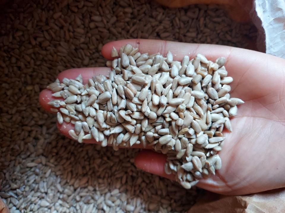 Nhân hướng dương-duoc-ban-tai-Yummy Nuts-Thế Giới Hạt Ngon!