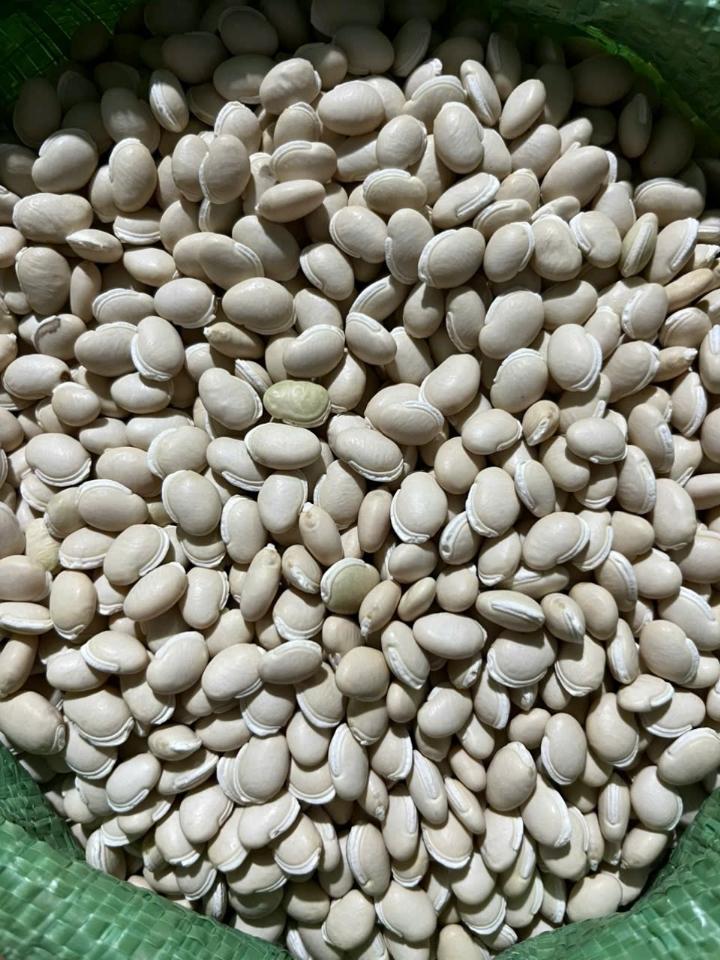 Đậu ván-duoc-ban-tai-Yummy Nuts-Thế Giới Hạt Ngon!