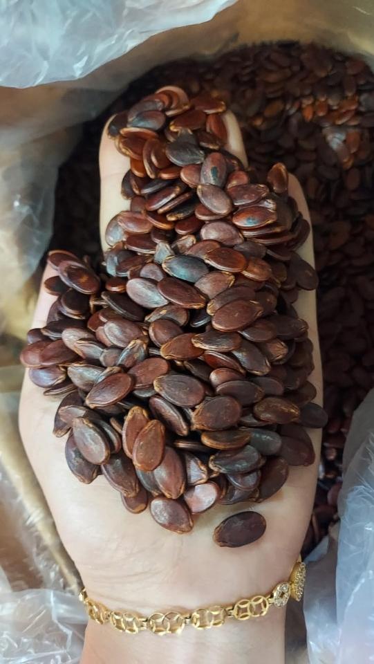Hạt dưa còn vỏ-duoc-ban-tai-Yummy Nuts-Thế Giới Hạt Ngon!