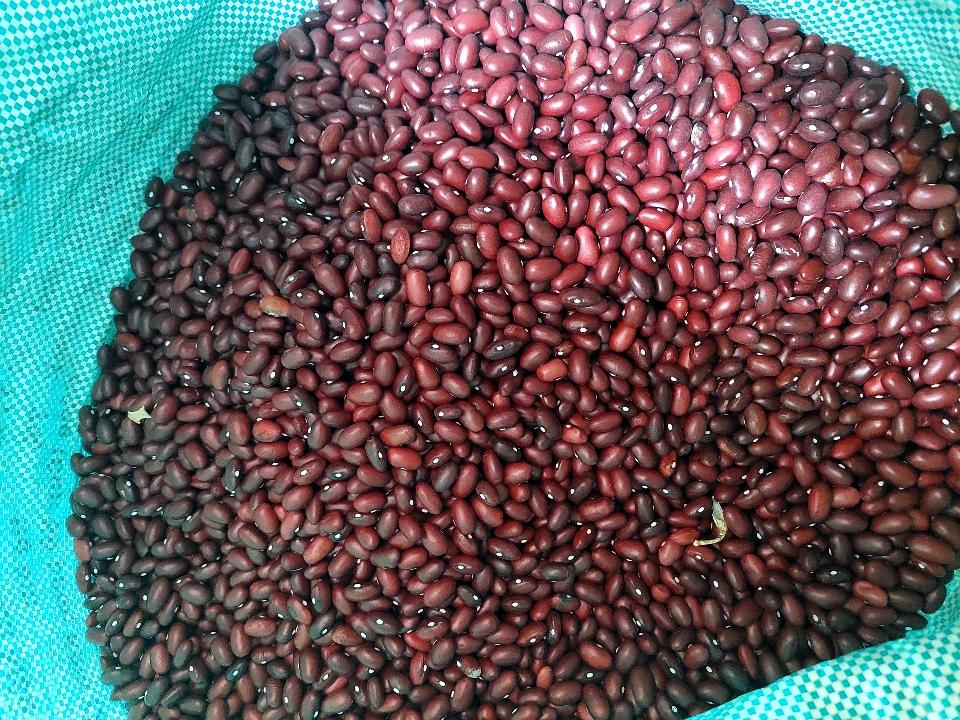 Đậu đỏ Đà Đạt-duoc-ban-tai-Yummy Nuts-Thế Giới Hạt Ngon!