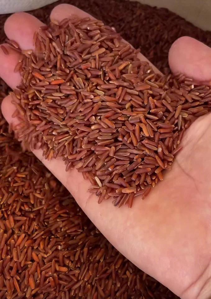 Gạo lứt huyết rồng-duoc-ban-tai-Yummy Nuts-Thế Giới Hạt Ngon!