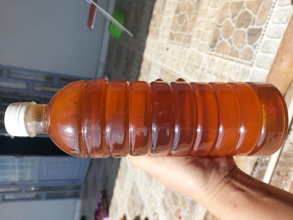 Mật ong hoa cà phê-duoc-ban-tai-Yummy Nuts-Thế Giới Hạt Ngon!
