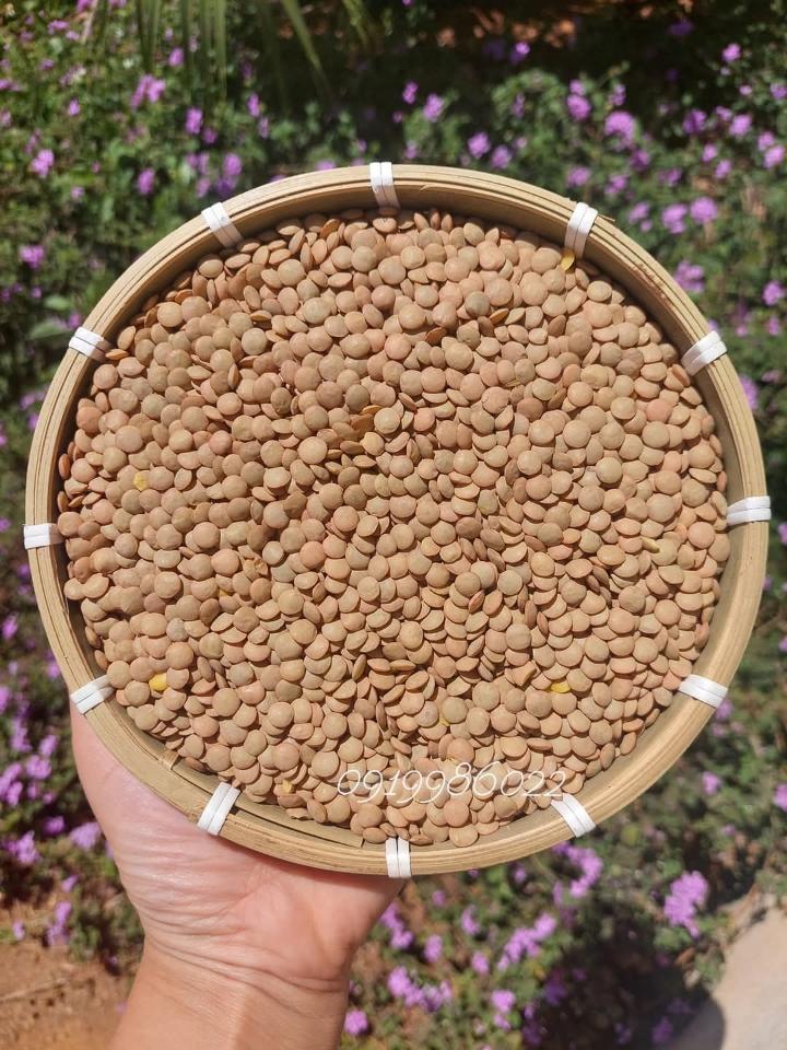 Lăng xanh-duoc-ban-tai-Yummy Nuts-Thế Giới Hạt Ngon!