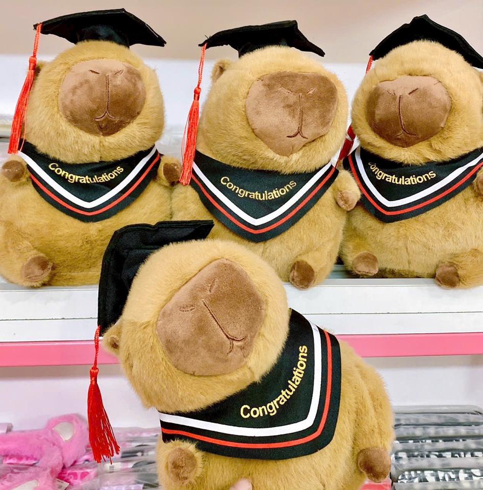 Gấu bông capybara tốt nghiệp-duoc-ban-tai-Hanana gift shop