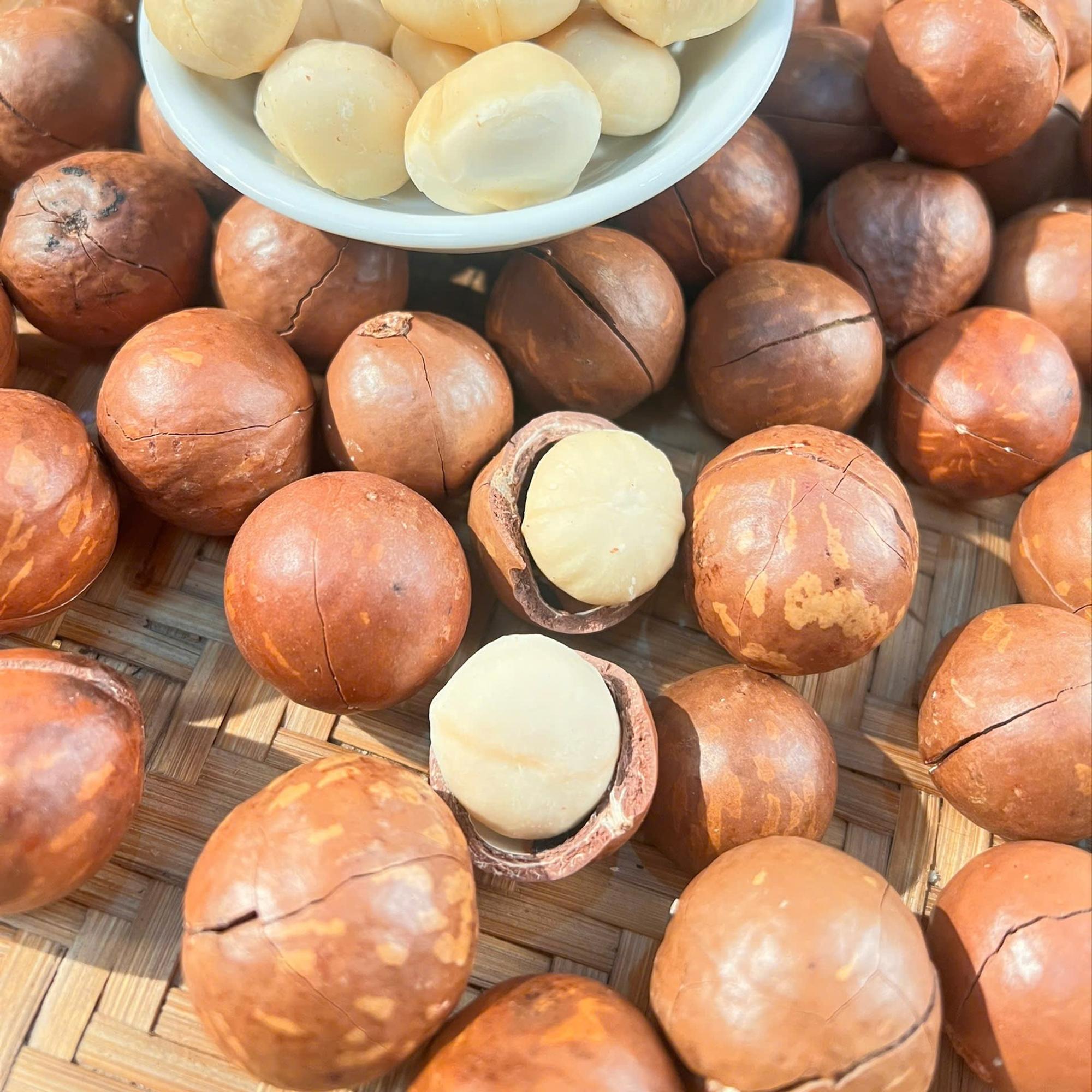 Macca Nguyên Vỏ (đại)-duoc-ban-tai-Nông Sản Sạch Tây Bắc