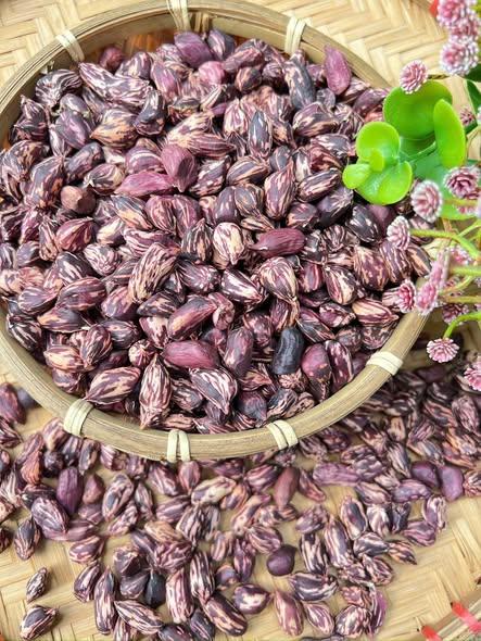 Lạc hoa mèo vip-duoc-ban-tai-Nông Sản Sạch Tây Bắc