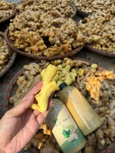 Cốt gừng tràm trà -duoc-ban-tai-Nông Sản Sạch Tây Bắc