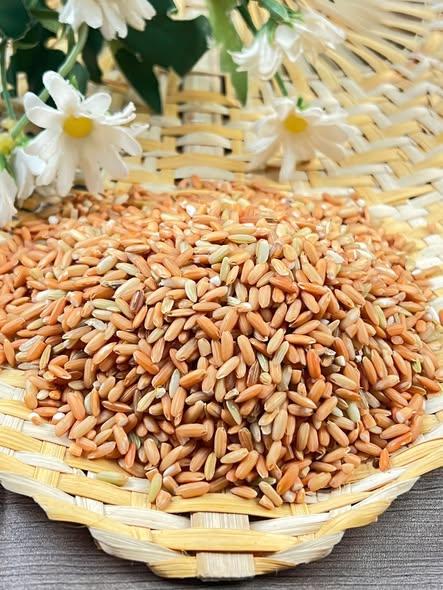 Gạo Lứt Đỏ-duoc-ban-tai-Nông Sản Sạch Tây Bắc