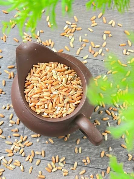 Gạo Lứt Đỏ-duoc-ban-tai-Nông Sản Sạch Tây Bắc