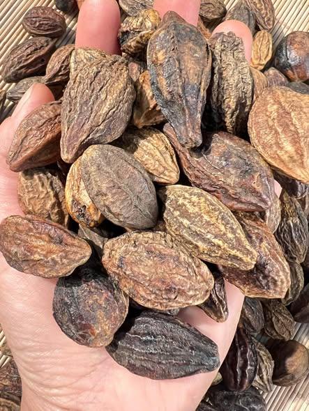 Quả Kha Tử-duoc-ban-tai-Nông Sản Sạch Tây Bắc