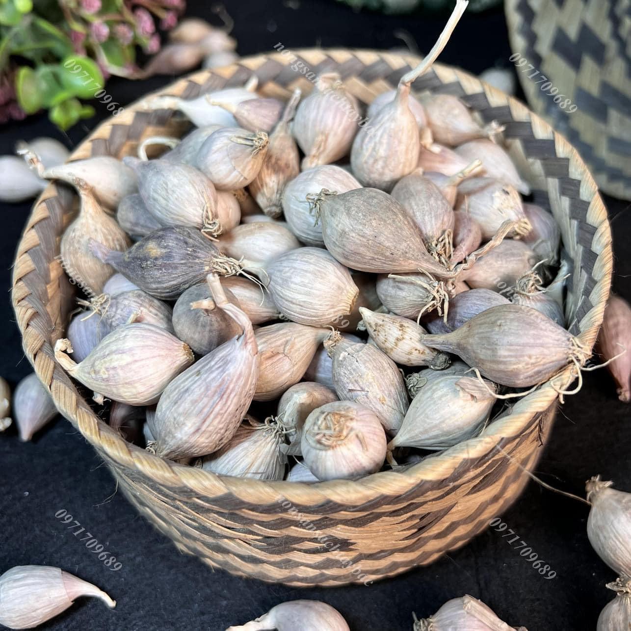 Tỏi Cô Đơn Yên Châu-duoc-ban-tai-Nông Sản Sạch Tây Bắc