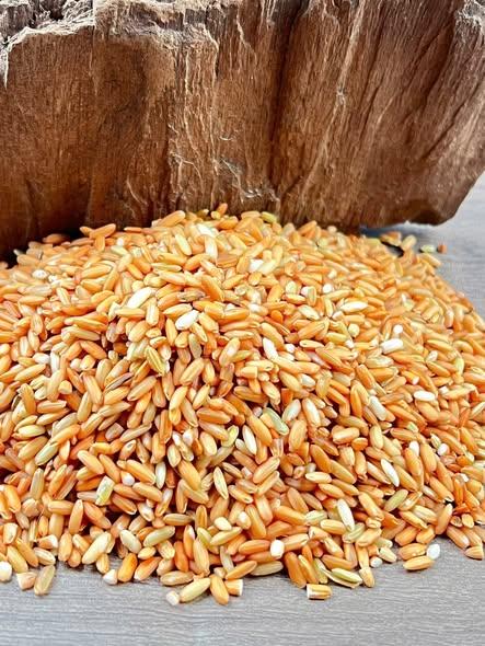 Gạo Lứt Đỏ-duoc-ban-tai-Nông Sản Sạch Tây Bắc