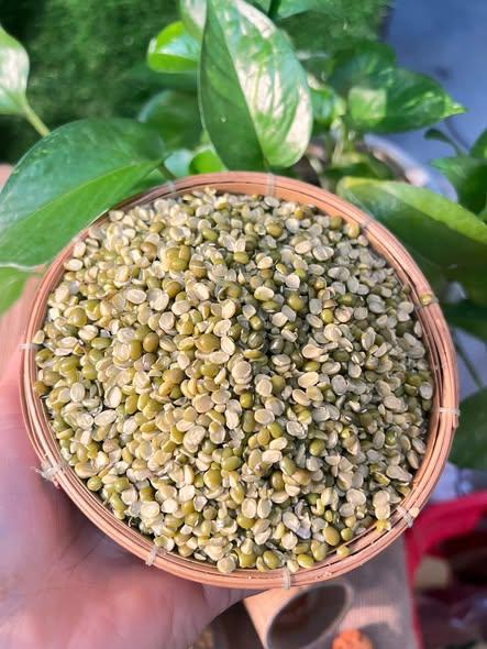 Đậu xanh xay vỡ-duoc-ban-tai-Nông Sản Sạch Tây Bắc