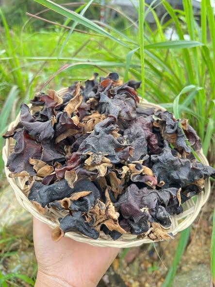 Mộc Nhỉ Rừng-duoc-ban-tai-Nông Sản Sạch Tây Bắc