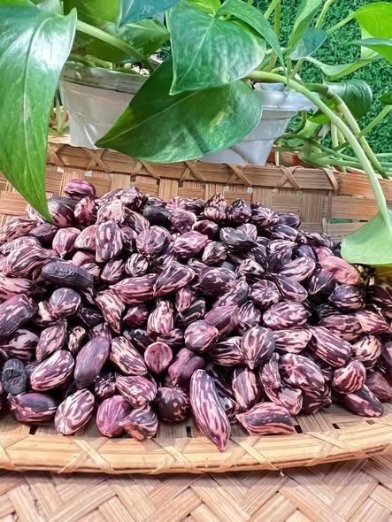 Lạc hoa mèo vip-duoc-ban-tai-Nông Sản Sạch Tây Bắc