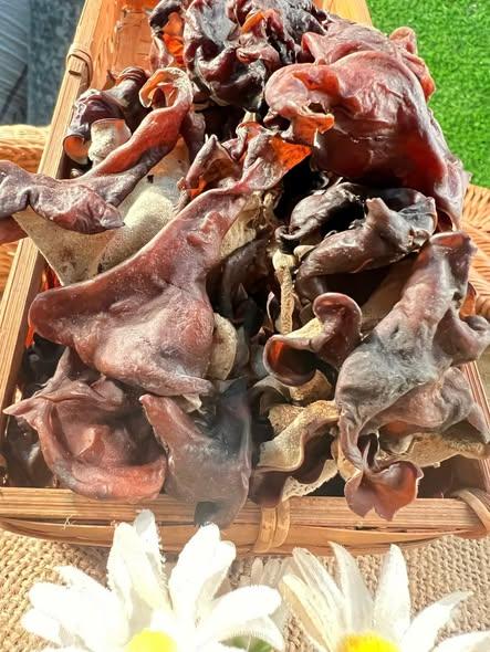 Mộc Nhỉ Rừng-duoc-ban-tai-Nông Sản Sạch Tây Bắc