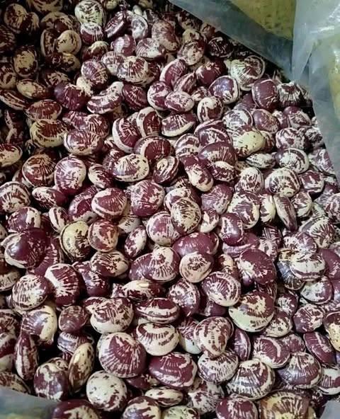 Đậu Ngự-duoc-ban-tai-Nông Sản Sạch Tây Bắc