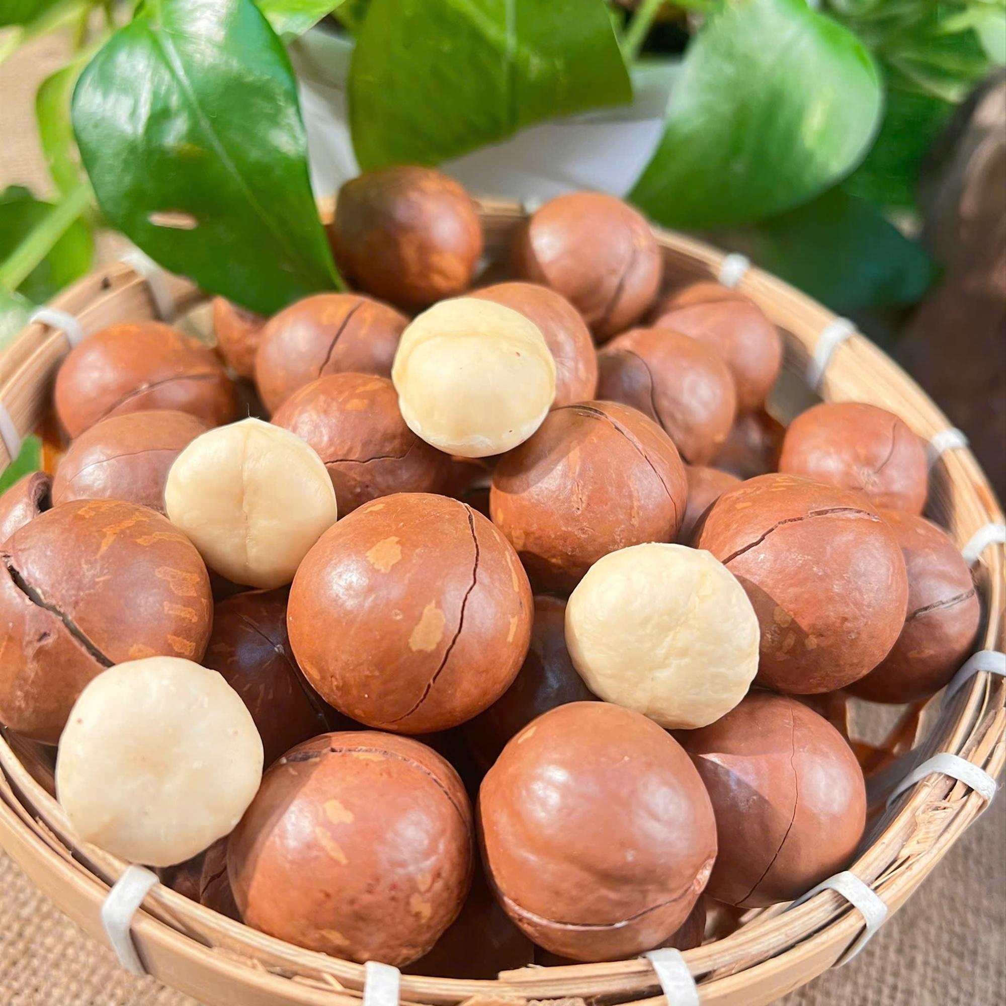 Macca Nguyên Vỏ (đại)-duoc-ban-tai-Nông Sản Sạch Tây Bắc