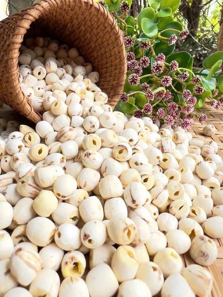 Hạt Sen Tròn (mới)-duoc-ban-tai-Nông Sản Sạch Tây Bắc