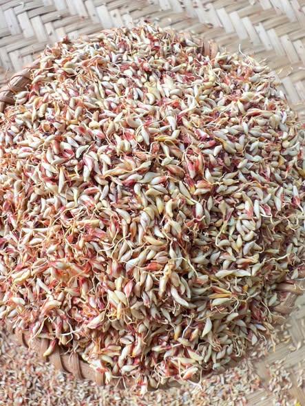 Thạch Mac Pup -duoc-ban-tai-Nông Sản Sạch Tây Bắc